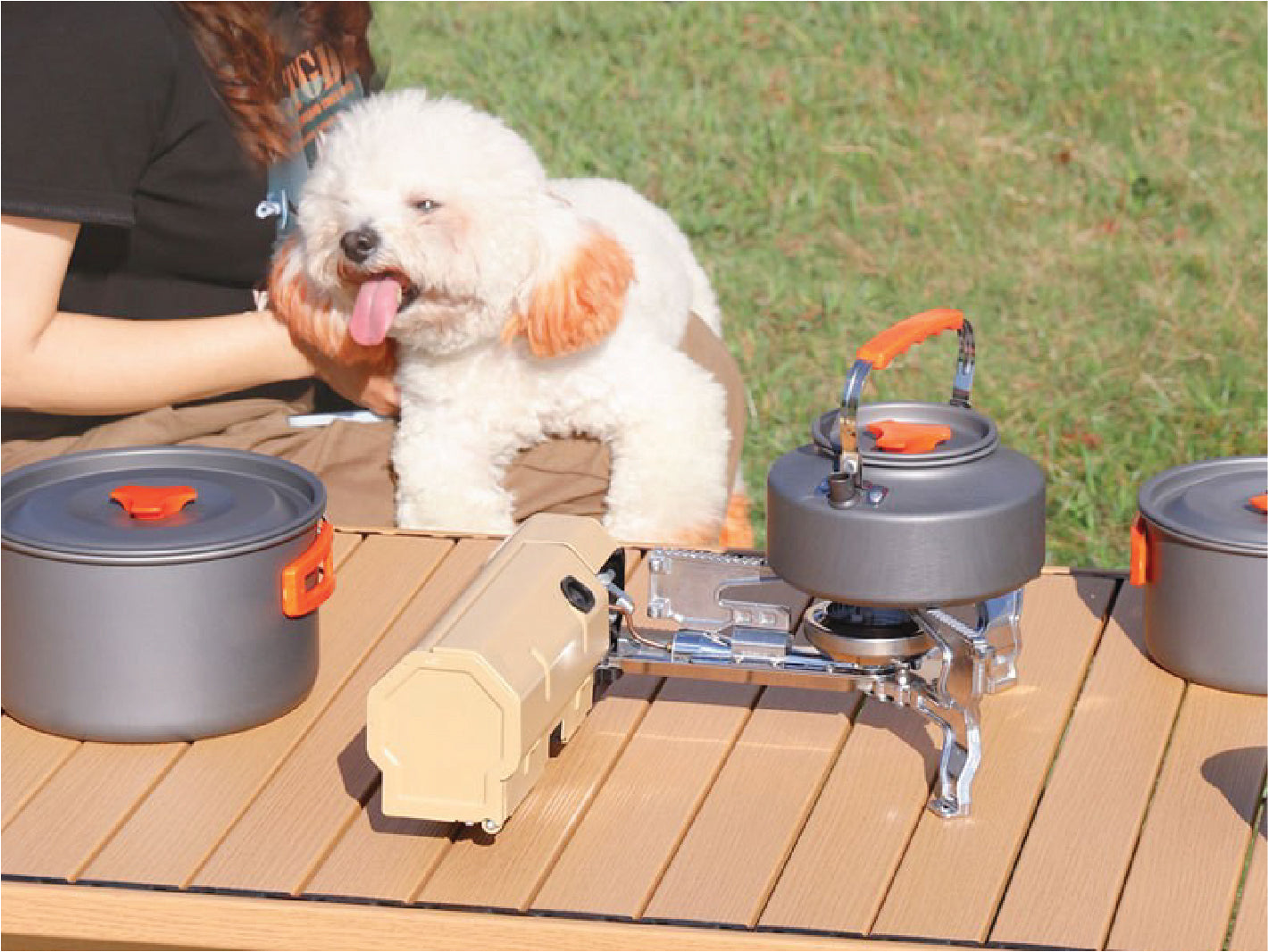 205TN Blaze Foldable Gas Burner